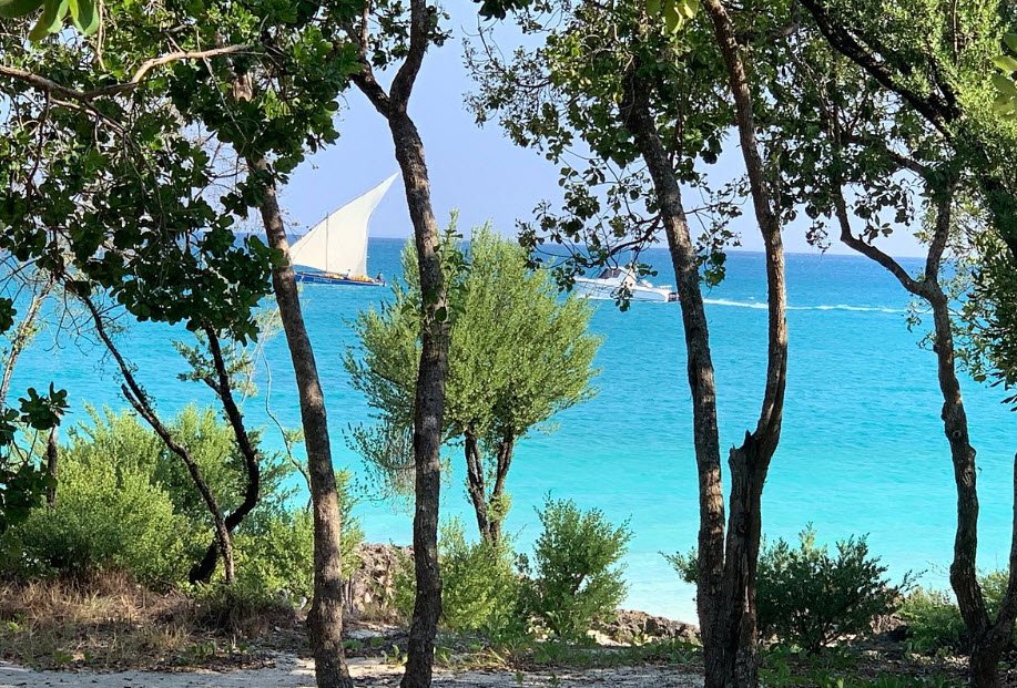 Vamizi Island, Cabo Delgado Province, Mozambique